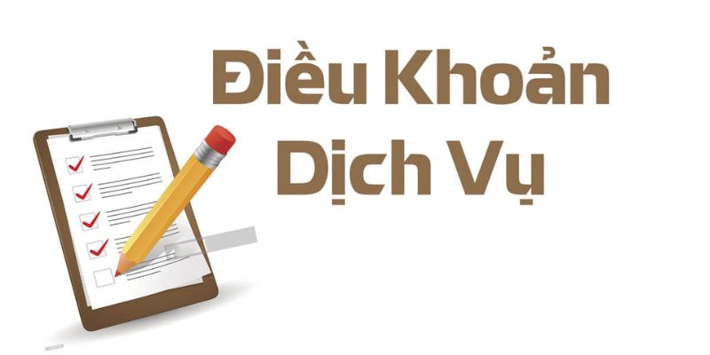 Những cập nhật mới