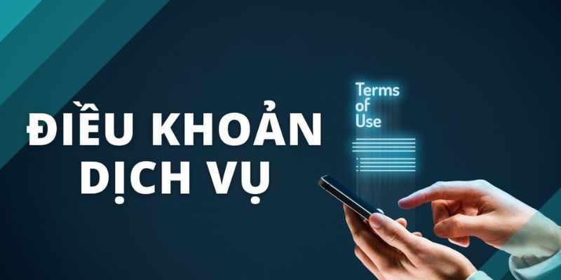 Những nội dung chính trong điều khoản