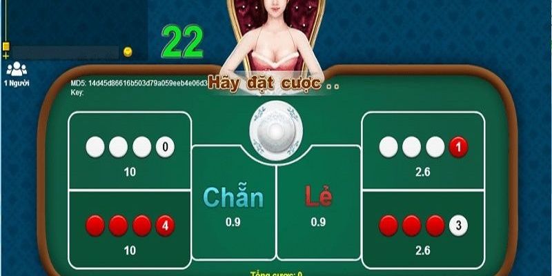 Bí quyết chơi xóc đĩa