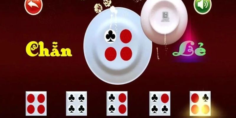 Thực trạng của xóc đĩa bịp
